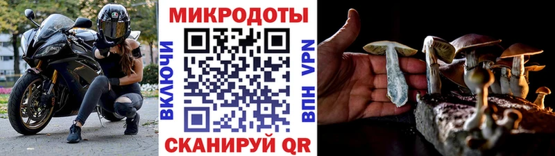 Псилоцибиновые грибы Magic Shrooms  MEGA ONION  Прохладный  наркошоп 